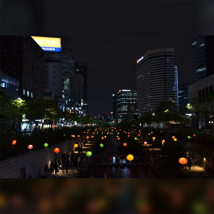 Korea-festival-lanternes-lotus